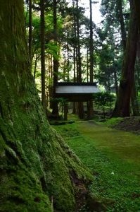 【事務局ブログ】朝活とモーニング