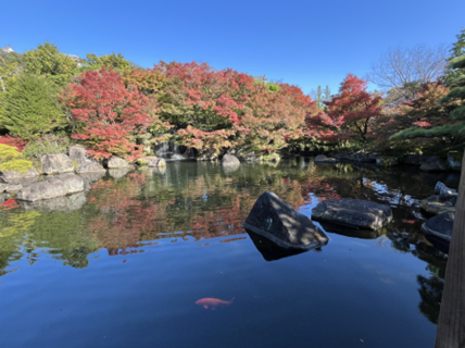 《指導医ブログ》好古園で紅葉狩り